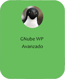 Gnube WP Avanzado