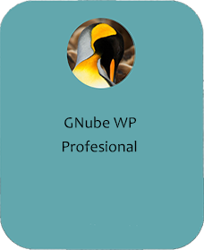 Gnube WP Profesional