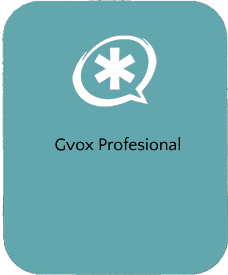 Gvox Profesional