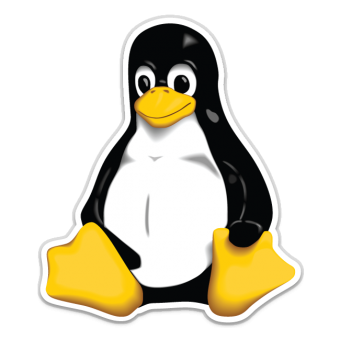 Linux Kernel